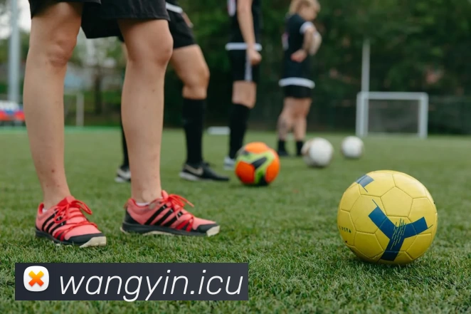 九游(JIUYOU.COM)体育第一门户 - 官方网站发展历程